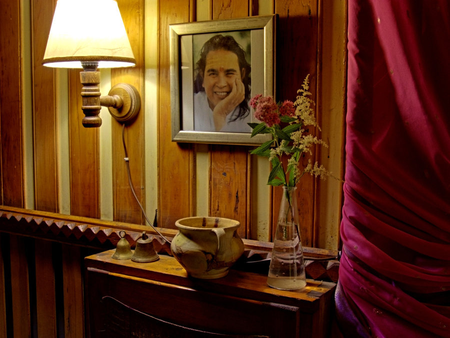 Ayur Garden - image 1