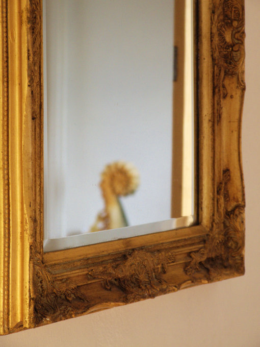 Ayur Garden - image 4