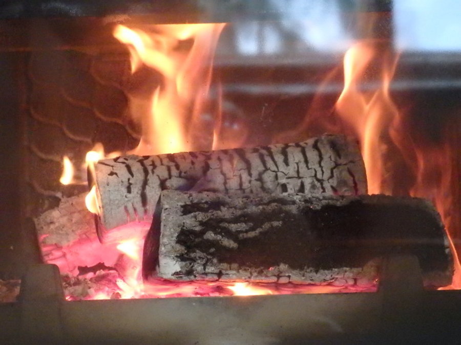 Ayur Garden - image 6