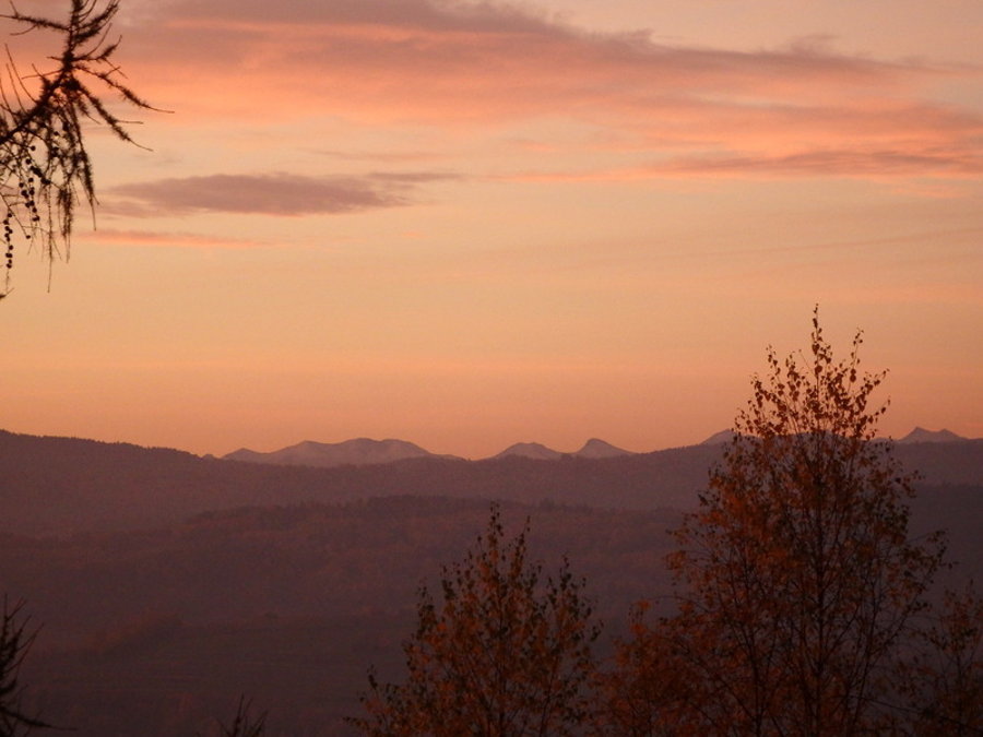 Ayur Garden - image 7