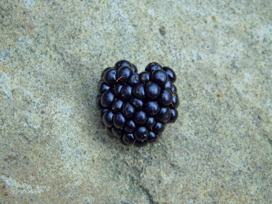 Ayur Garden - image 10