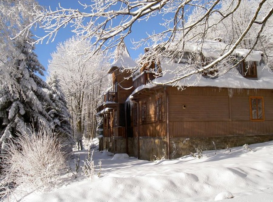 Ayur Garden - image 15